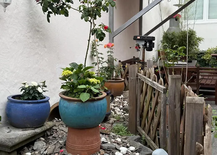 公寓 Gemuetliche 莱茵河畔林茨