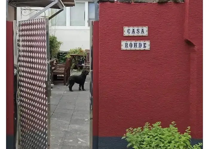 公寓 Gemuetliche 莱茵河畔林茨